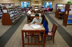 Cheng, Liu in library